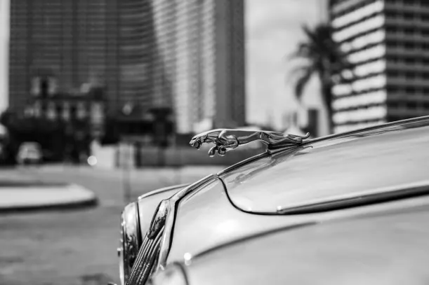 20Bets Casino Android/iOS-app